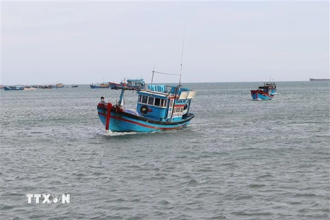 Ngư dân huyện Thuận Nam, Ninh Thuận khẩn trương đưa tàu cá vào bờ tránh ảnh hưởng của bão Rai. (Ảnh: Nguyễn Thành/TTXVN) 