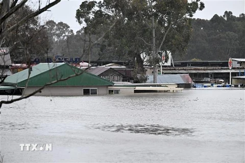 Cảnh ngập lụt sau những trận mưa lớn tại Windsor, ngoại ô Sydney, Australia, ngày 4/7/2022. (Ảnh: AFP/TTXVN) 