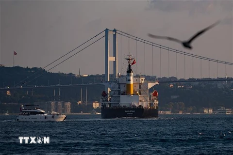 Tàu Navi Star mang cờ Panama chở hàng tấn ngũ cốc của Ukraine di chuyển dọc Eo biển Bosphorus qua Istanbul, Thổ Nhĩ Kỳ ngày 7/8/2022. (Ảnh: AFP/TTXVN) 