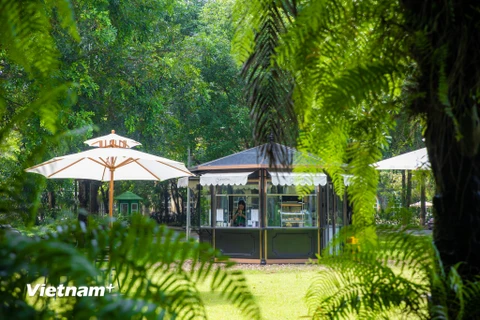 Ecopark nổi tiếng là khu đô thị nhiều cây xanh, mặt hồ rộng lớn cùng nhiều tiện ích dịch vụ như siêu thị, nhà hàng, cafe phục vụ cư dân và khách tham quan. (Ảnh: Minh Sơn/Vietnam+)