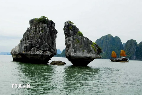 [Photo] Cảnh đẹp kỳ thú của di sản thiên nhiên thế giới Vịnh Hạ Long
