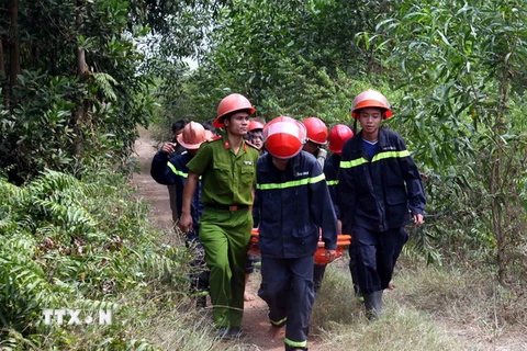 Bộ trưởng Nguyễn Văn Nên: Vụ rơi máy bay là do vấn đề kỹ thuật