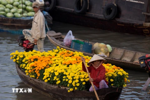 [Photo] Sắc Xuân trên chợ nổi Cái Răng những ngày giáp Tết