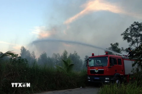 Lào Cai kịp thời dập tắt đám cháy bên Vườn Quốc gia Hoàng Liên