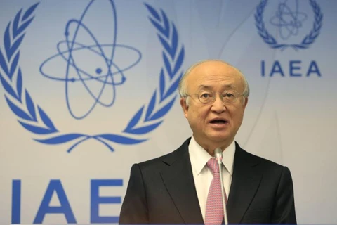 IAEA quan ngại về chương trình hạt nhân của Triều Tiên 