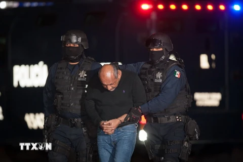 Thêm một trùm băng nhóm tội phạm khét tiếng tại Mexico sa lưới