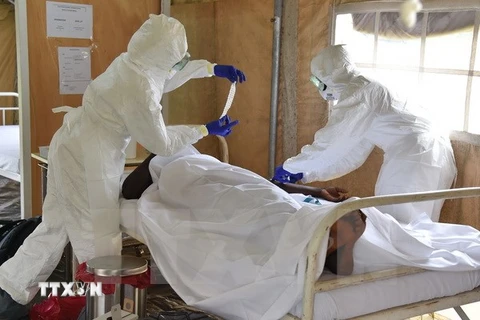 Nhật Bản tìm ra phương pháp kiểm tra Ebola cho kết quả sau 11 phút