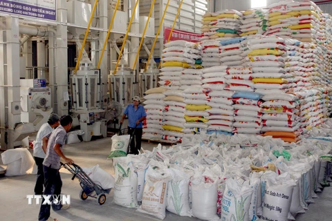 [Video] Xuất khẩu gạo của Việt Nam tiếp tục gặp khó khăn