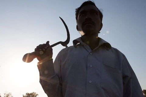 Cuộc sống tuyệt vọng khiến nông dân Ấn Độ tự sát hàng loạt
