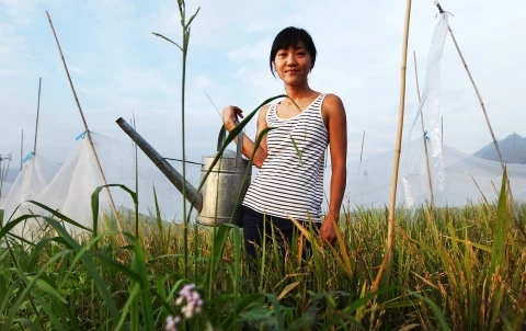 Diện tích canh tác đậu tương ở Trung Quốc có thể giảm 15%