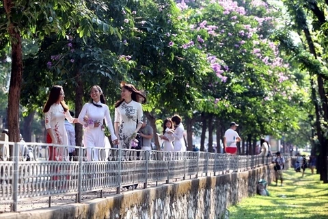 [Photo] Sắc tím lãng mạn của hoa bằng lăng bao phủ thủ đô Hà Nội