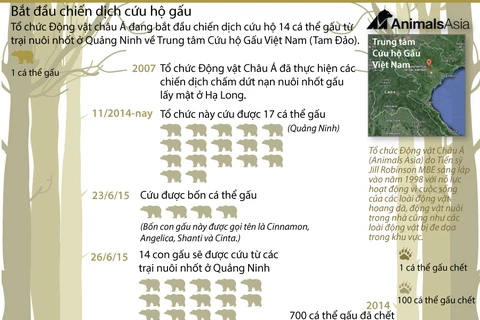 [Infographics] Chiến dịch cứu hộ 14 chú gấu ở Quảng Ninh