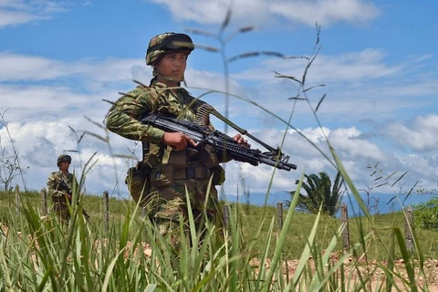 Quân đội chính phủ Colombia. (Ảnh: AFP)
