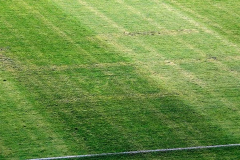 Biểu tượng phátxít xuất hiện trên mặt sân trận Croatia-Italy vào tháng trước. (Nguồn: espnfc.com)