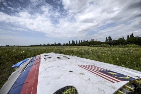 Mảnh vỡ máy bay MH17 tại hiện trường ở làng Grabove, miền Đông Ukraine. (Nguồn: AFP)