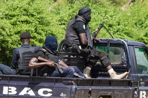 Lực lượng an ninh Mali trong một chiến dịch giải cứu con tin. (Ảnh: DPA)