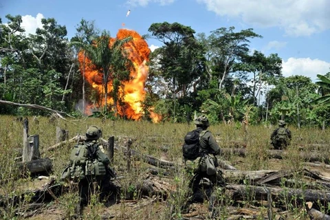 Quân đội Colombia phá hủy một khu điều chế cocaine của FARC. (Nguồn: AFP)