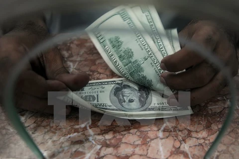Đồng USD tại thị trường ở Karachi (Pakistan). (Nguồn: AFP/TTXVN)