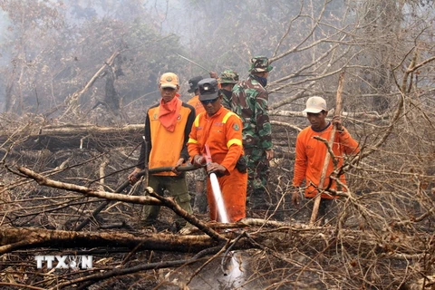 Lính cứu hỏa Indonesia nỗ lực khống chế các đám cháy rừng tại Kampar ngày 8/9. (Ảnh: AFP/TTXVN)