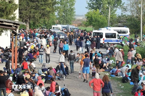 Người di cư đợi tàu tại nhà ga ở thành phố Tovarnik gần biên giới Croatia- Serbia ngày 17/9. (Nguồn: AFP/TTXVN) 