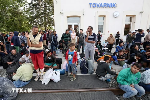 Người di cư đợi tàu tại nhà ga ở thành phố Tovarnik gần biên giới Croatia- Serbia ngày 17/9. (AFP/TTXVN)