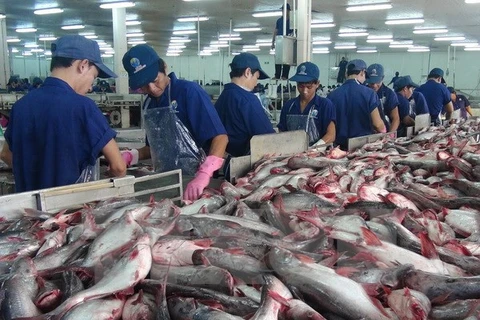 Chế biến các sản phẩm từ cá tra tại Nhà máy thủy sản Ấn Độ Dương. (Ảnh: Công Mạo/TTXVN)