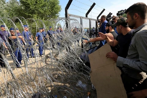 Dòng người di cư tìm cách vượt qua hàng rào dây thép gai để vào các quốc gia châu Âu. (Nguồn: Getty Images)
