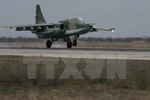 Máy bay chiến đấu của Nga đã không kích ở Syria (Nguồn: AFP/TTXVN)
