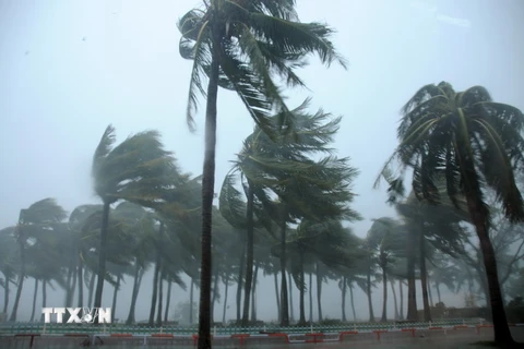 Mưa to gió lớn do ảnh hưởng của bão Mujigae tại Zhanjiang, tỉnh Quảng Đông ngày 4/10. (Reuters/TTXVN)