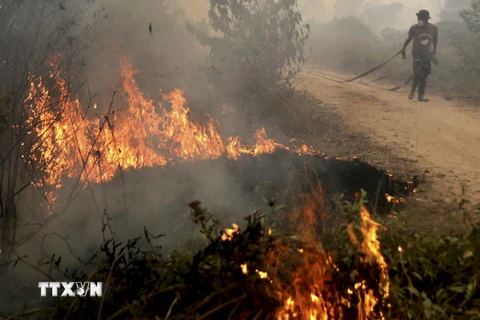 Binh sỹ Indonesia tham gia dập các đám cháy từng tại Ogan Ilir, tỉnh Nam Sumatra ngày 30/9. (Reuters/TTXVN)