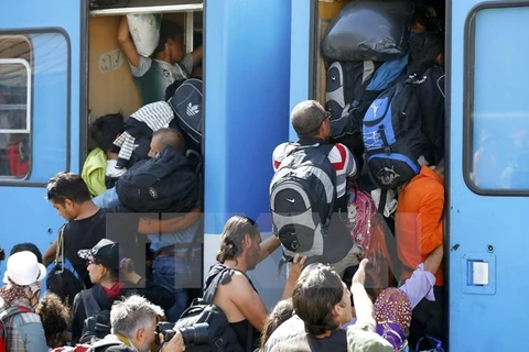 Người di cư chen lên tàu tại nhà ga ở Beli Manastir, Croatia ngày 18/9. (Ảnh: Reuters/TTXVN)