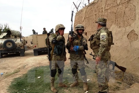 Cảnh sát Afghanistan trong chiến dịch quân sự truy quét phiến quân tại ngoại ô Lashkargah, tỉnh Helmand ngày 24/10. (Nguồn: THX/TTXVN)
