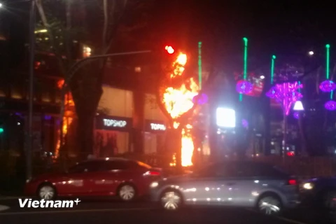 Cây thông Noel bất ngờ bốc cháy trên đường Orchard. (Ảnh: Việt hải/Vietnam+)
