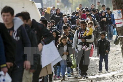 Người tị nạn và di cư qua khu vực biên giới Hy Lạp-Macedonia. (Nguồn: AFP/TTXVN)