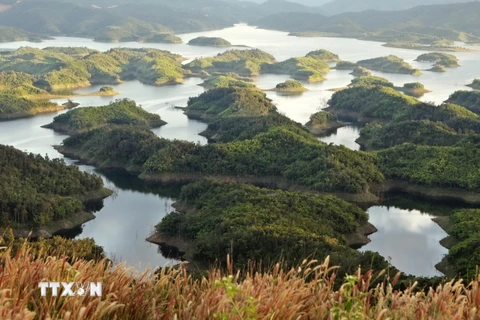 Những hòn đảo lớn, nhỏ trong khu bảo tồn thiên nhiên Tà Đùng tạo nên vẻ đẹp kỳ vĩ giữa núi rừng Tây Nguyên. (Ảnh: Dương Giang/TTXVN)