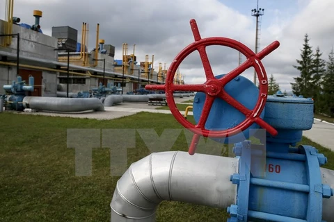 Đường ống dẫn khí đốt tại trạm cung cấp khí gần làng Volovets, miền tây Ukraine. (Nguồn: Reuters/TTXVN)