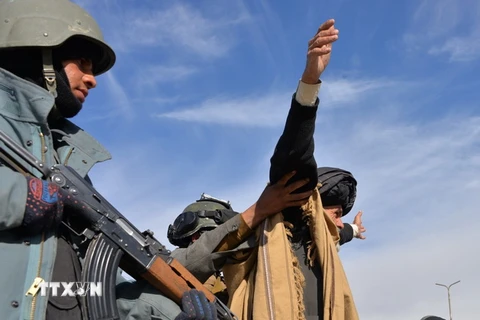  Cảnh sát Afghanistan kiểm tra an ninh trong chiến dịch quân sự ở tỉnh Ghazni ngày 6/1. (Ảnh: THX/TTXVN)