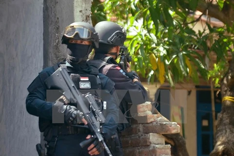 Cảnh sát đặc nhiệm Indonesia đột kích căn nhà của nghi can vụ tấn công khủng bố Jakarta, tại Cirebon, phía tây đảo Java ngày 15/1. (Nguồn: AFP/TTXVN)