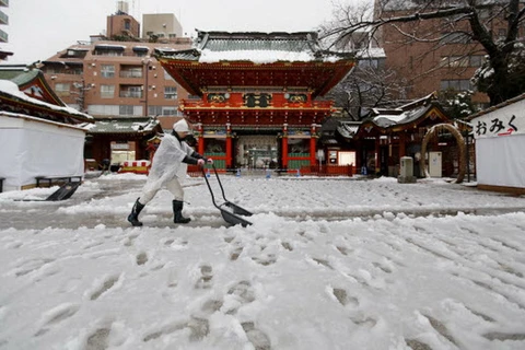 Một người công nhân dọn tuyết ở thủ đô Tokyo ngày 18/1. (Ảnh: Reuters)