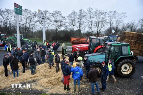 Nông dân Pháp đổ rơm phong tỏa tuyến đường cao tốc ở Bain-de-Bretagne, tây bắc nước Pháp ngày 27/1. (AFP/TTXVN)