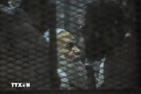 Một thành viên thuộc MB tại phiên tòa ở thủ đô Cairo ngày 3/8. AFP/TTXVN 