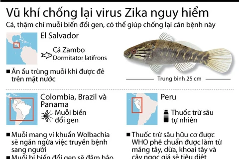[Infographics] Điểm mặt những vũ khí chủ lực chống virus Zika