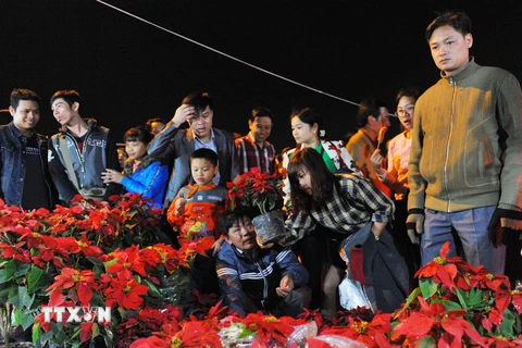 Chợ Viềng là phiên chợ mua may, bán rủi, chỉ diễn ra 1 lần trong năm vào đêm mùng 7, sáng mùng 8 tháng Giêng âm lịch hàng năm, tại Nam Định. (Ảnh: TTXVN)