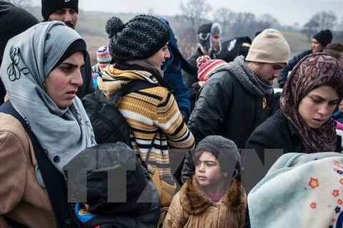 Người tị nạn và di cư đợi kiểm tra an ninh sau khi vượt qua Macedonia tới Serbia để xin tị nạn tại các nước châu Âu khác. (Nguồn: AFP/TTXVN)