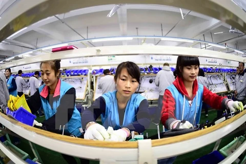 Công nhân làm việc tại nhà máy ở Rushan, tỉnh Sơn Đông, miền đông Trung Quốc. (Nguồn: THX/TTXVN)