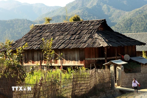 Ngọc Chiến, huyện Mường La (Sơn La) là xã duy nhất ở Tây Bắc có nhiều ngôi nhà sàn được làm bằng gỗ pơ mu có tuổi thọ tới gần trăm năm. (Ảnh: Điêu Chính Tới/TTXVN)