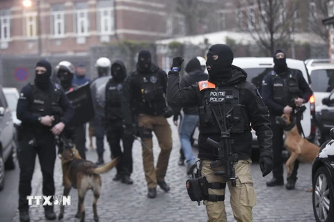 Lực lượng an ninh Bỉ trong cuộc vây bắt Salah Abdeslem. (Ảnh: AFP/TTXVN)