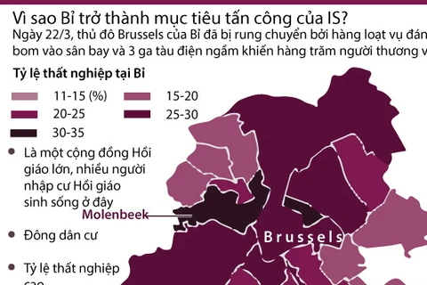 [Infographics] Nguyên nhân khiến Bỉ trở thành mục tiêu của IS