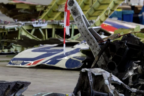Mảnh vỡ máy bay MH17 bị bắn rơi ở Ukraine (Nguồn: AP)