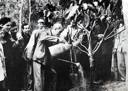 Chủ tịch Hồ Chí Minh tham gia 'Tết trồng cây' với nhân dân xã Vật Lại, Ba Vì, Hà Tây (nay thuộc ngoại thành Hà Nội) ngày 16/2/1969. (Ảnh: Tư Liệu)